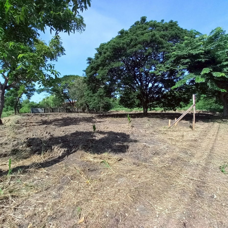 รูป ขายที่ดินสวย ต่ำกว่าประเมิน ในสนามกอล์ฟ บางนา ตราด - รูปที่ 3/8