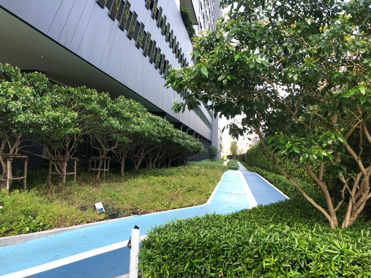 picture For Rent Condo  Ideo Sukhumvit 93 30 M BTS  Bangchak  - 16/20