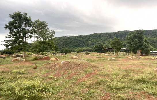 picture The cheapest price, 30 rai of land near Khao Pak Kwang, Photharam District, Ratchaburi Province. Good atmosphere, mountain view. - 4/12