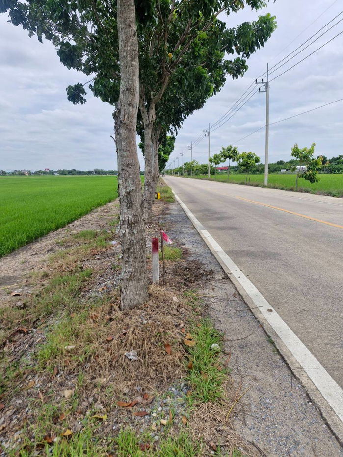 รูป ขายที่ดิน 15 ไร่ ลำลูกกา ปทุมธานี - รูปที่ 5/9