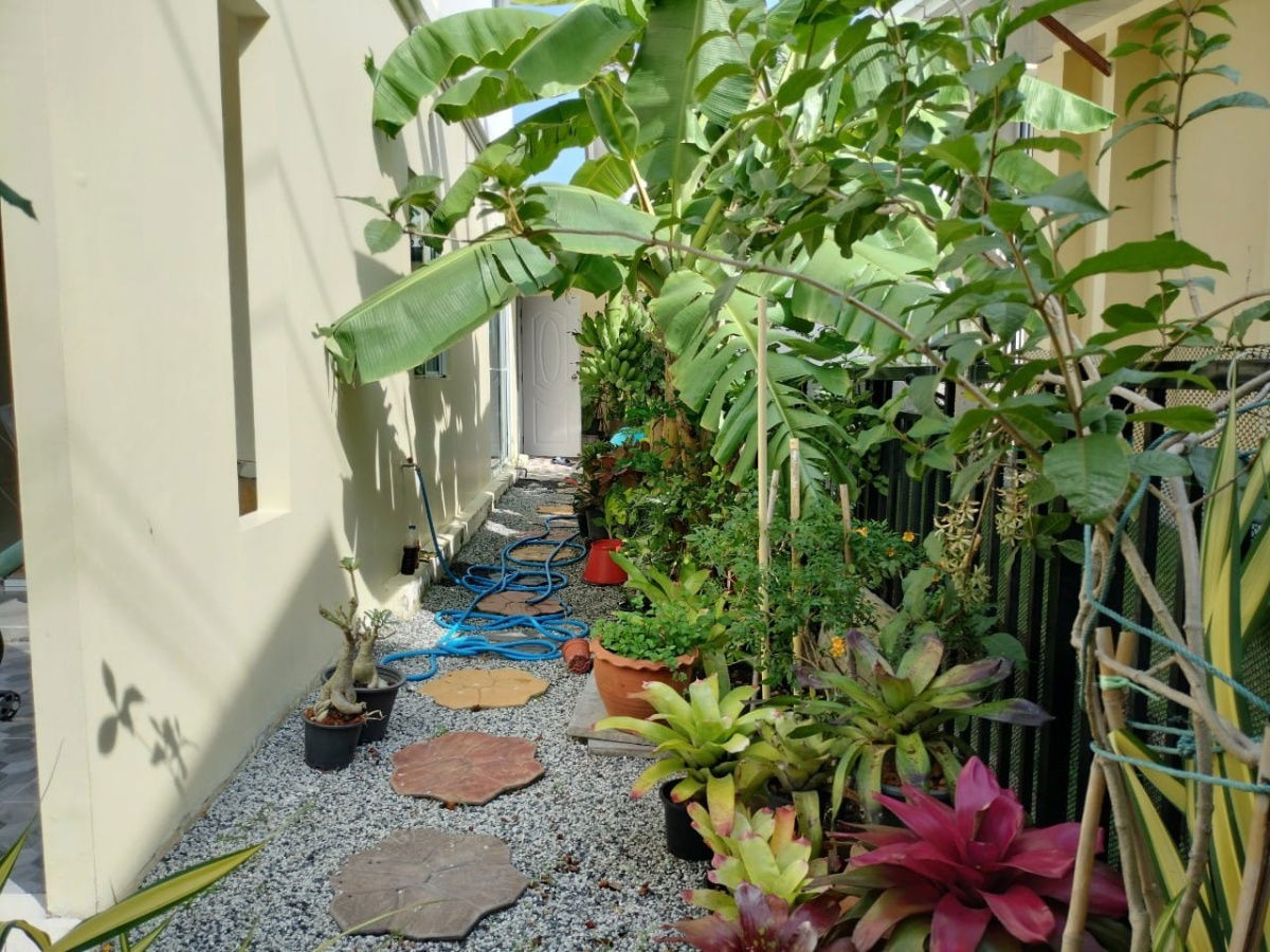 รูป 🏡ขายบ้านแฝด พฤกษา เทพารักษ์-เมืองใหม่โครงการ 1 สมุทรปราการ - รูปที่ 14/17