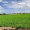 listing thumbnail image 1