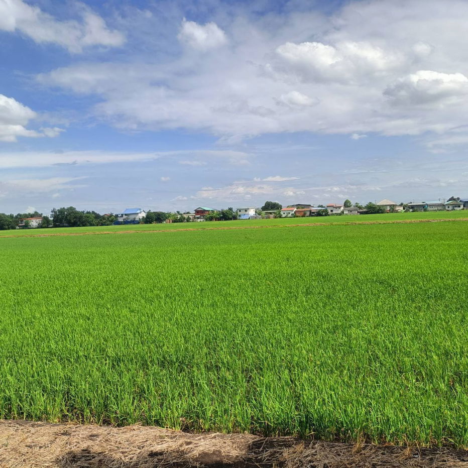 รูป ขายที่ดิน 15 ไร่ ลำลูกกา ปทุมธานี - รูปที่ 2/9