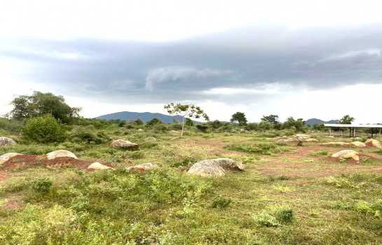picture The cheapest price, 30 rai of land near Khao Pak Kwang, Photharam District, Ratchaburi Province. Good atmosphere, mountain view. - 6/12
