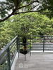 listing thumbnail image 28
