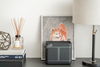 listing thumbnail image 9