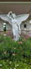 listing thumbnail image 23