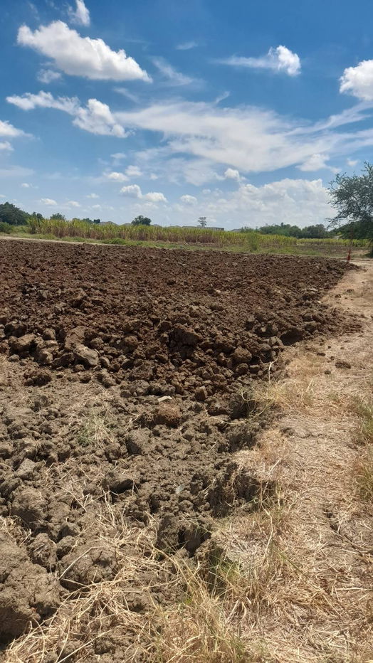 picture Land for sale in Kamphaeng Saen Distric, Nakhon Pathom Province - 10/12