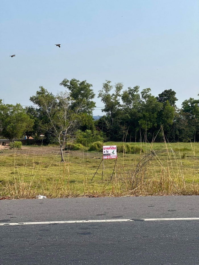 picture Sell Land Nakhon Nayok Pak Plee - 3/6