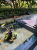 listing thumbnail image 22
