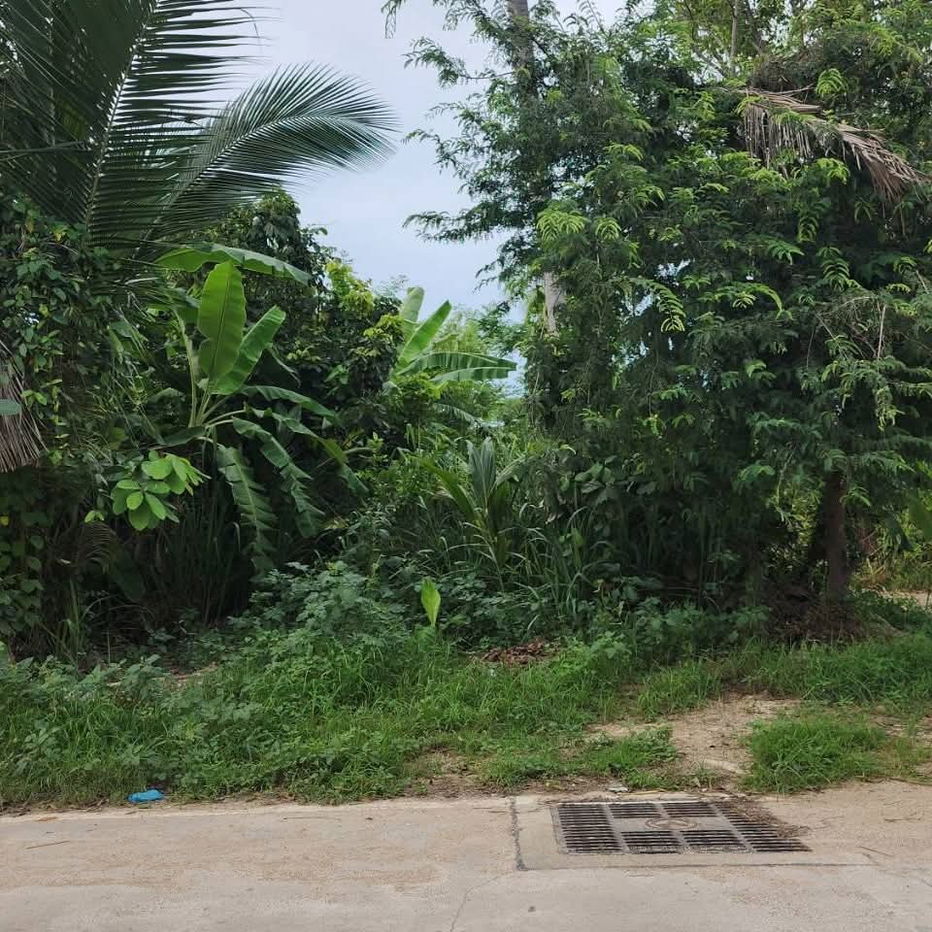 picture Land for sale, good location, Soi Somboon 8, near the Nong Pla Lai railway, Pattaya - 6/11