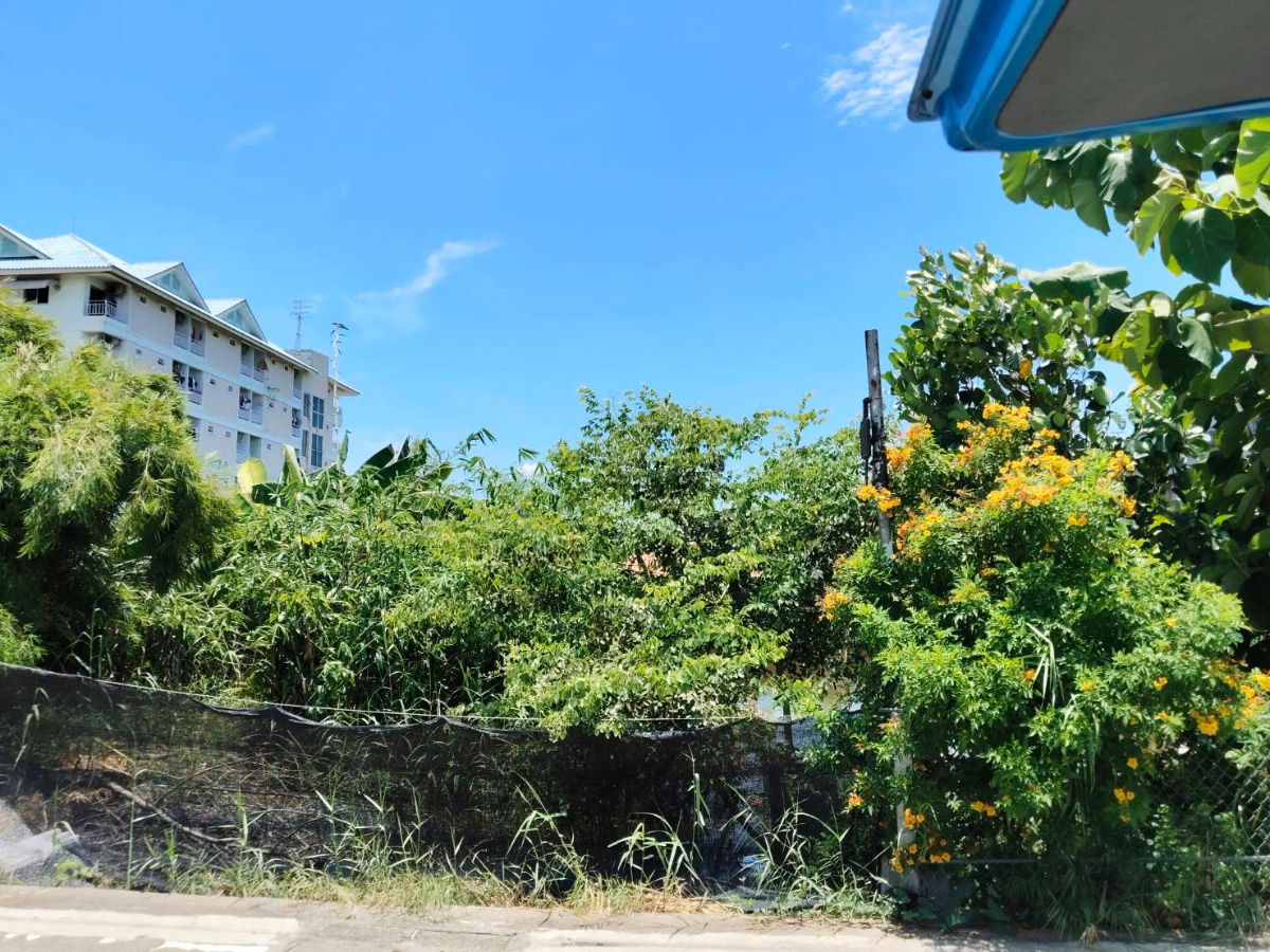 รูป ขายที่ดิน 200 ตรว. ถนนรังสิต-บางพูน ตรงข้าม ตลาดพูนทรัพย์ ซอยบ้านกลาง - รูปที่ 3/8