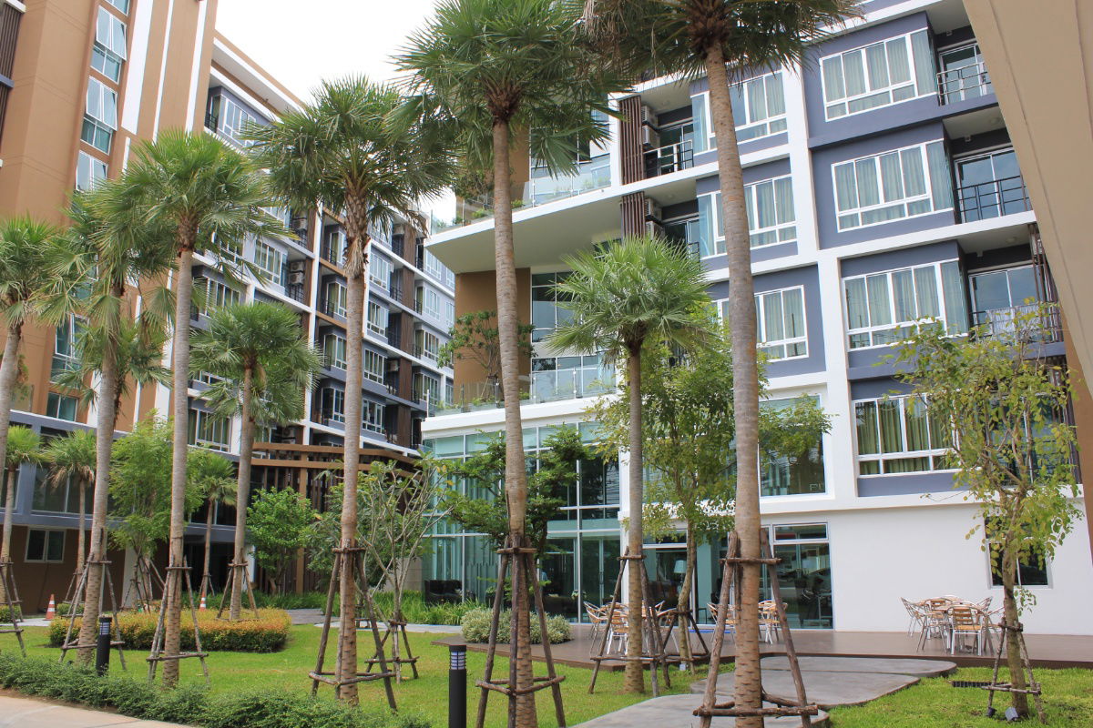 picture condominium for rent in Suratthani - 7/8