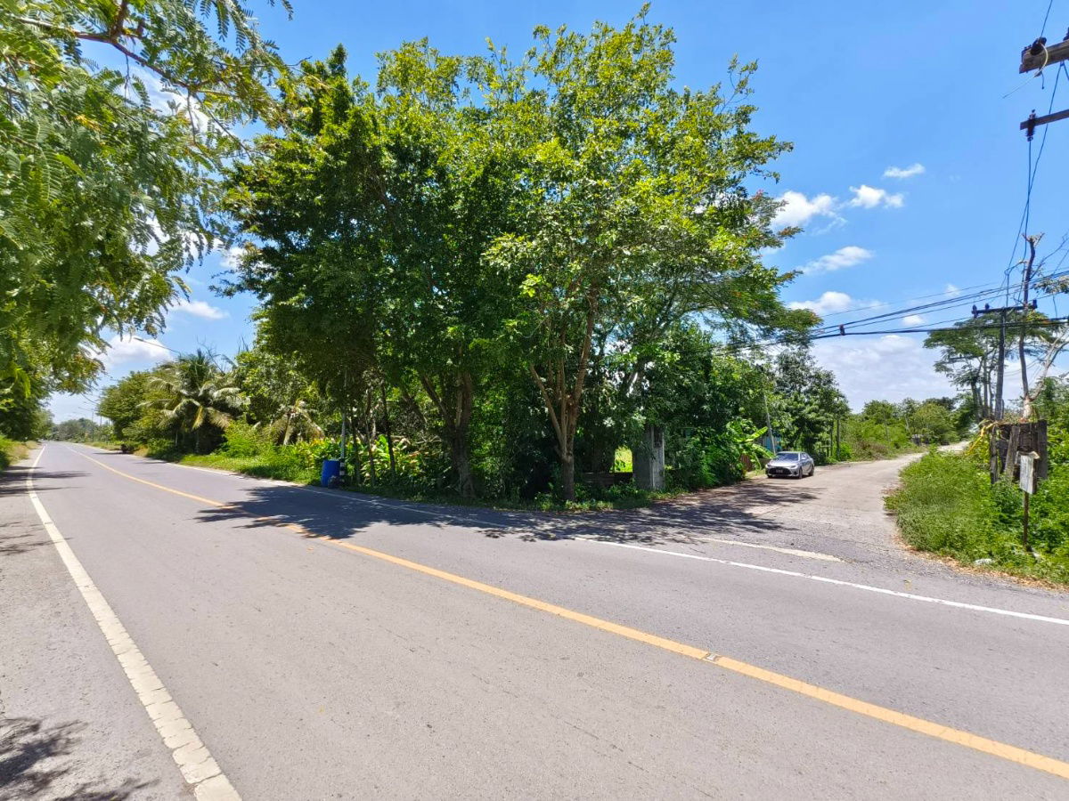 picture Urgent sale! 150 sq wah plot of land in Khlong 13, Pathum Thani. Land has been filled in. Pink urban planning area. Prime location - 3/8