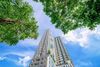 listing thumbnail image 11