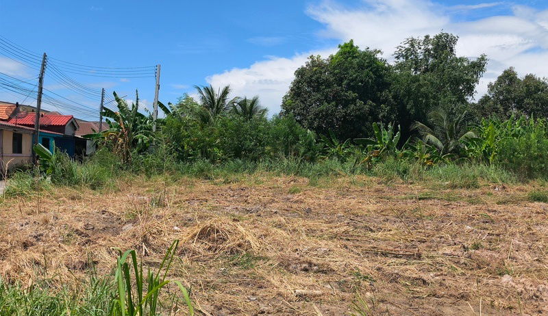 picture Land for Sale in Downtown Ban Bueng – 1 Rai 46 Sq. Wah – Adjacent to Soi Wat Bueng Bon Road Ideal for Residential Use, Apartment - 3/9