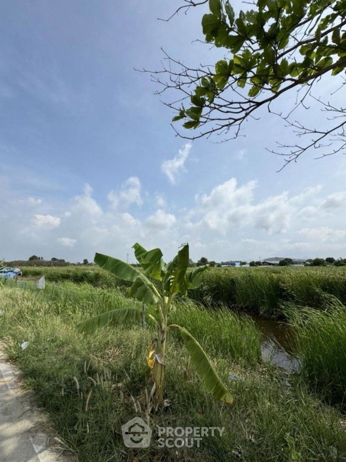 picture 9,200 m² Land for Sale in Nong Mai Daeng (ID 2258640) - 3/8