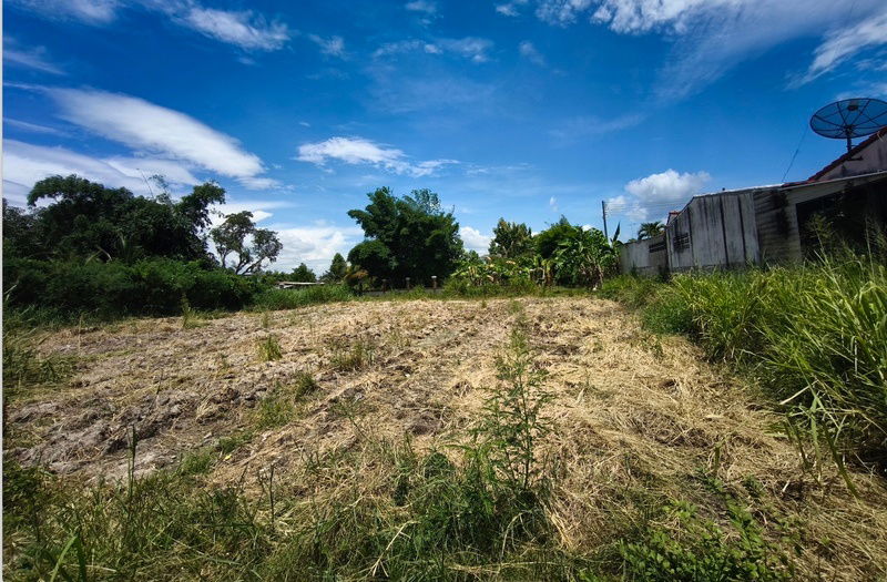 picture Land for Sale in Downtown Ban Bueng – 1 Rai 46 Sq. Wah – Adjacent to Soi Wat Bueng Bon Road Ideal for Residential Use, Apartment - 9/9