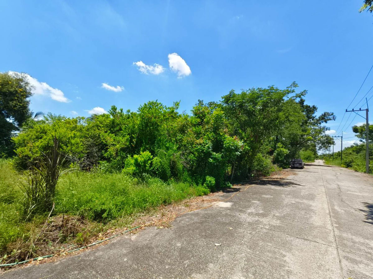 picture Urgent sale! 150 sq wah plot of land in Khlong 13, Pathum Thani. Land has been filled in. Pink urban planning area. Prime location - 7/8