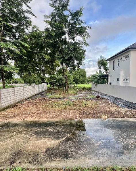 picture Beautiful plot of vacant land for sale in San Sai District, near Maejo University. - 2/11