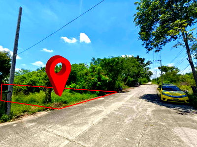 ที่ดิน วิทยาลัยเทคนิคธัญบุรี : ขายด่วน! ที่ดินจัดสรรแปลงละ 150 ตร.วา คลอง 13 ปทุมธานี ถมแล้ว ผังเมืองสีชมพู ทำเลดี หน้ากว้าง 18 เมตร ลึก 35 เมตร ขายเพียง 2,500 บาท/ตารางวา