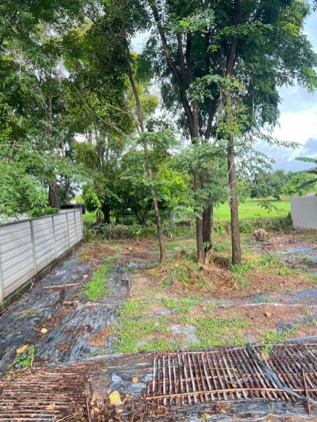 picture Beautiful plot of vacant land for sale in San Sai District, near Maejo University. - 11/11