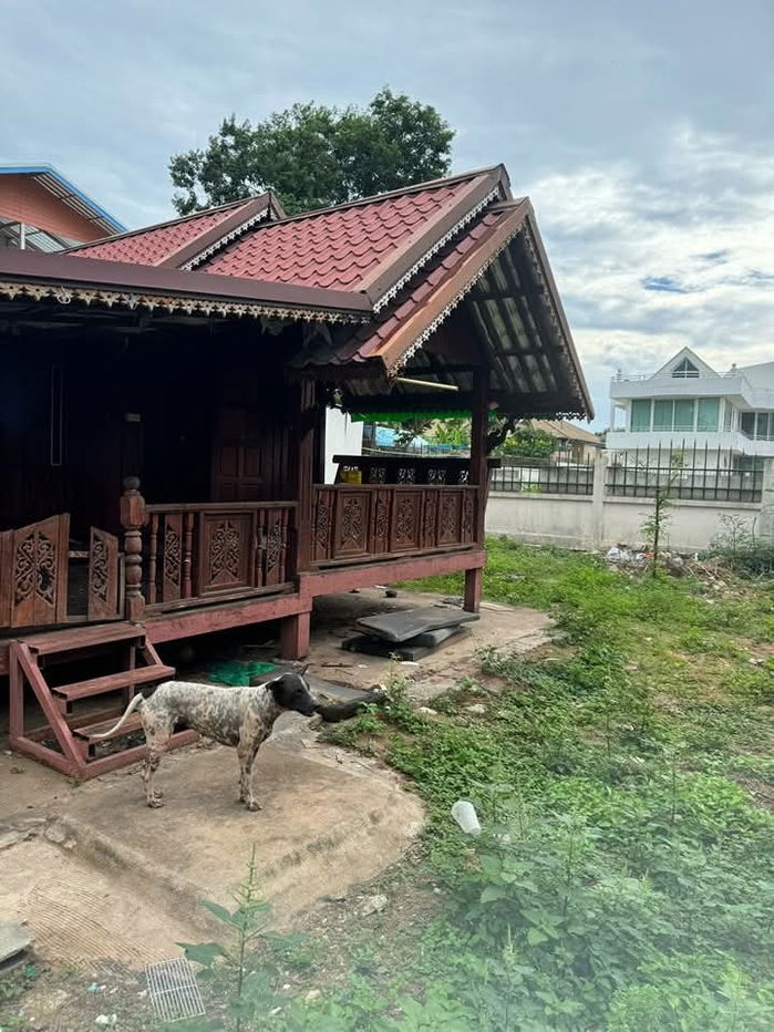 รูป ขายที่ดินพร้อมบ้าน ใกล้ตลาดตรากุ่ย แหล่งอำนวยความสะดวก พัทยา - รูปที่ 4/4