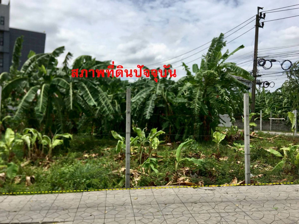 รูป ขาย ที่ดินเปล่า ซอยถนนเทพรักษ์ 49 - รูปที่ 7/7