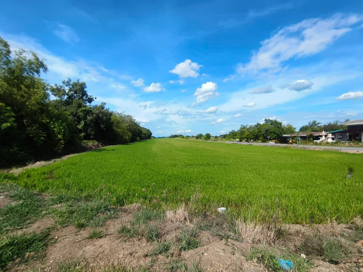 รูป ขายที่ดิน ธัญบุรี คลอง12 (ใกล้เทศบาลสนั่นรัก) - รูปที่ 3/3