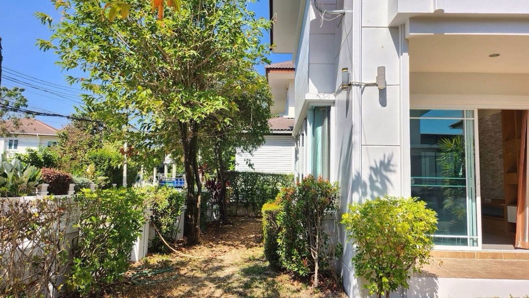 picture House for RENT! Close to Town near Ruamchok shopping mall, NIS, 7-11, Tesco Lotus, Homepro, Fresh Market and etc. - 20/20