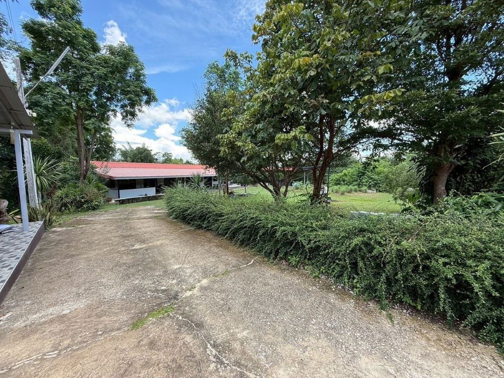 รูป ขายที่ดินพร้อมสิ่งปลูกสร้าง ขนาด 6-3-5 ไร่ บ้านสวน ร่มรื่น ทำเลดี เดินทางสะดวก ต.พิชัย อ.เมืองลำปาง  - รูปที่ 19/19
