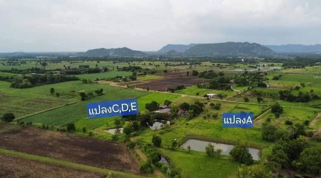 รูป ขายด่วน ที่ดินฟาร์มสเตย์วิวเขา ตัวอำเภอตาคลี นครสวรรค์ - รูปที่ 3/3