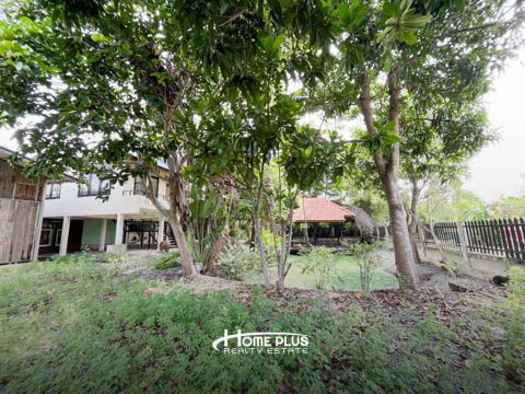 รูป ที่ดินพร้อมบ้านเดี่ยว 2 ชั้นซอยชมวิหค ตำบลคลอง5 ปทุมธานี - รูปที่ 27/32