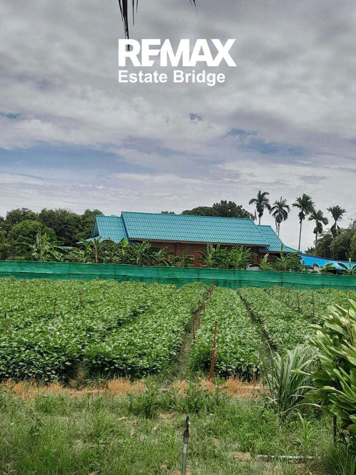 รูป บ้านเดี่ยวพร้อมที่ดิน 200 ตร.ว.  (กำแพงแสน นครปฐม) - รูปที่ 3/11
