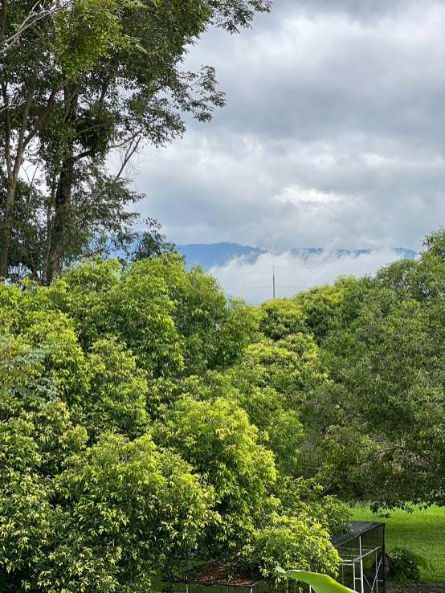 picture Beautiful plot of vacant land for sale in San Sai District, near Maejo University. - 10/11