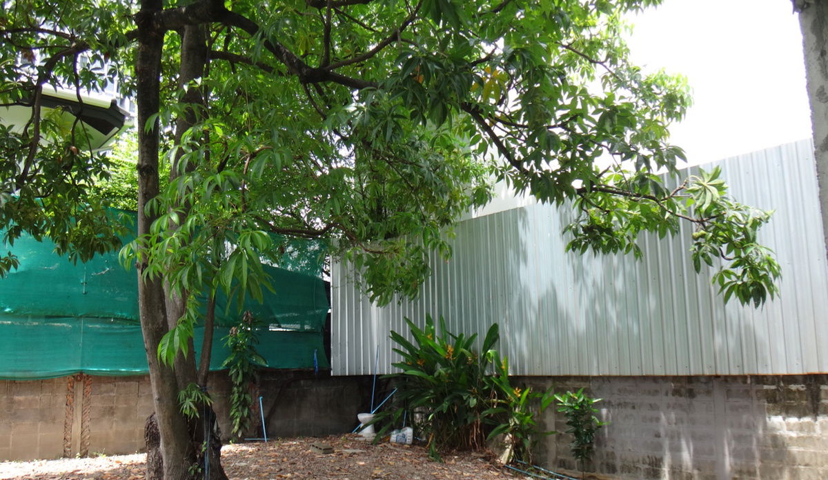 รูป ขายที่ดิน 240 ตร.วา พร้อมโครงสร้างบ้านในซอยสุขุมวิท 38 - รูปที่ 16/16