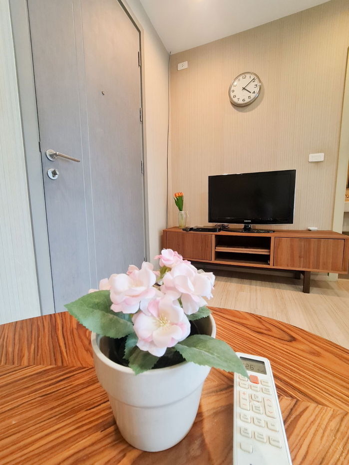 picture Condo for rent: The Base Garden Rama 9, near APL Ramkhamhaeng, 13,500 baht, property code: RS1474 - 3/10
