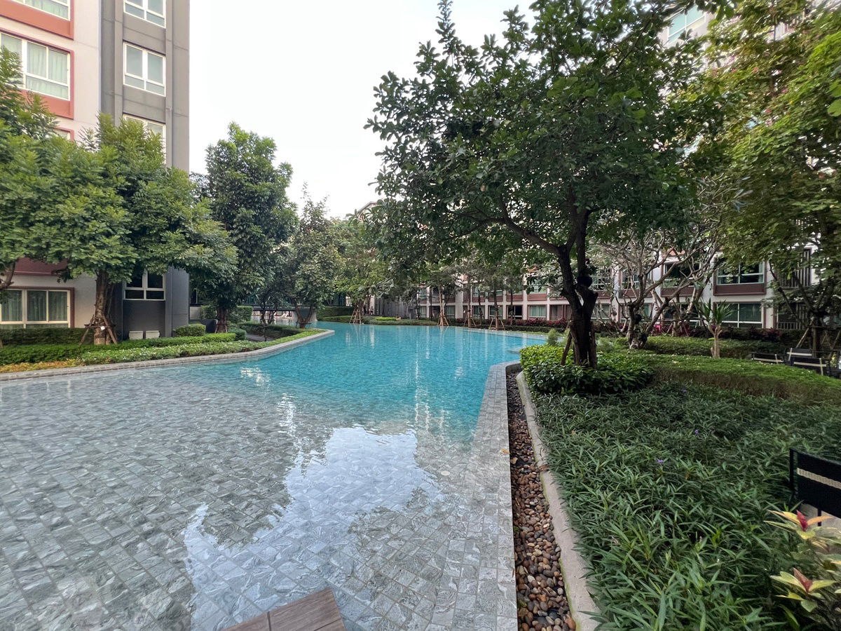 picture ✅For sale: D Condo Ping , 5th floor, Building A, 30 sq m., corner room ☎️064-792-4426 (Ben) - 20/22