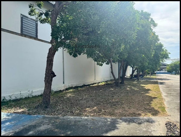 รูป โรงงานบางปลา โรงงานบางพลี โรงงานมีรง.4 AW551 ให้เช่าโรงงานพร้อมออฟฟิศ พื้นที่รวม 1,152 ตรม. พื้นอีพ็อกซี่ ย่านบางปลา มีรปภ. - รูปที่ 1/5