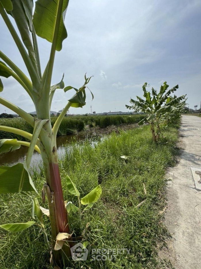 picture 9,200 m² Land for Sale in Nong Mai Daeng (ID 2258640) - 5/8