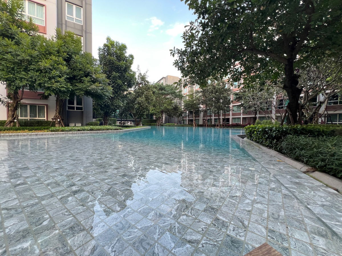 picture ✅For sale: D Condo Ping , 5th floor, Building A, 30 sq m., corner room ☎️064-792-4426 (Ben) - 21/22