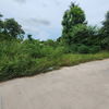 listing thumbnail image 7