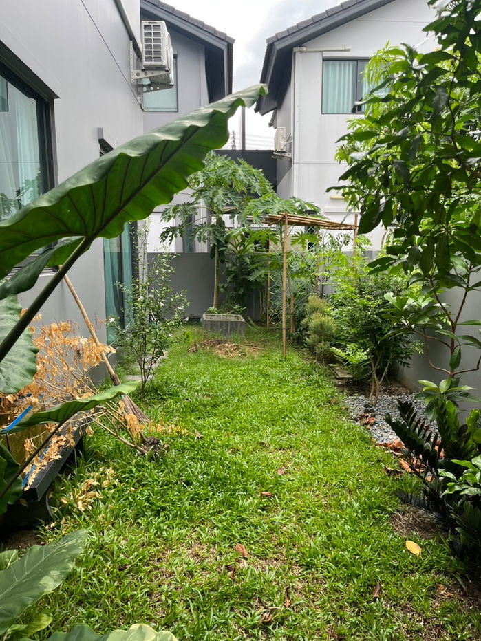 picture Anasiri Ratchapruek-346 New Ratchaphruek Road - 17/24