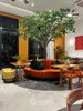listing thumbnail image 1
