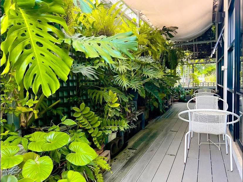 picture 📍 Coffee Shop with Land for Sale on Chiang Mai – Lamphun Main Road - 4/10