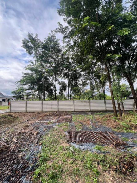 picture Beautiful plot of vacant land for sale in San Sai District, near Maejo University. - 5/11