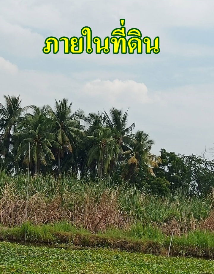รูป ขายที่ดินติดคลองธรรมชาติ 4 ไร่ 2 งาน 76 ตรว.   ใกล้สถานีรถไฟฟ้าสายสีม่วงตอนใต้ , ใกล้ทางด่วนกาญจนาภิเษก ประชาอุทิศ 76 เขตทุ่งครุ กรุงเทพฯ - รูปที่ 4/6