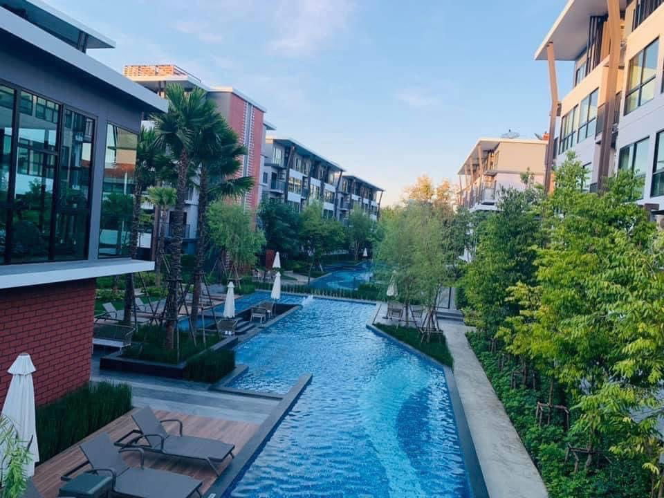 รูป ขายขาดทุน1แสน : คอนโด อะไรซ์ มหิดล เชียงใหม่ ห้องมุมวิวสระ ห้องใหม่มาก โทร082-389-9314 บู - รูปที่ 10/13