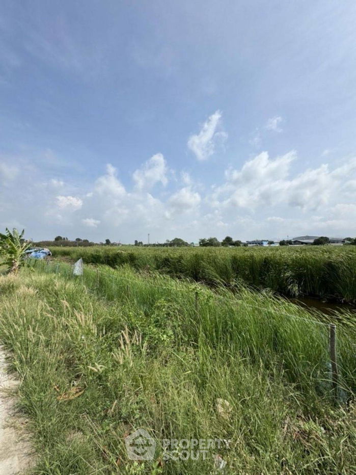 picture 9,200 m² Land for Sale in Nong Mai Daeng (ID 2258640) - 6/8