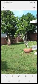 รูป บ้านเช่ารามคำแหง AH599 ให้เช่าบ้านเดี่ยว โฮมเพลส รามคำแหง140 ตกแต่งใหม่ มีเฟอร์นิเจอร์และเครื่องใช้ไฟฟ้า - รูปที่ 2/7
